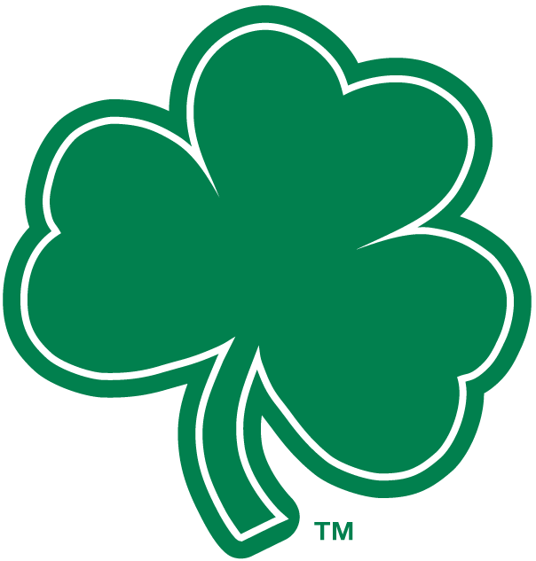 Notre Dame Fighting Irish 1994-Pres Alternate Logo t shirts DIY iron ons v7